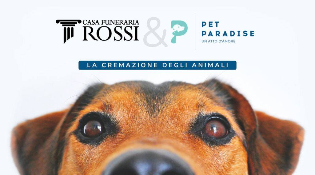 Header-sito-web